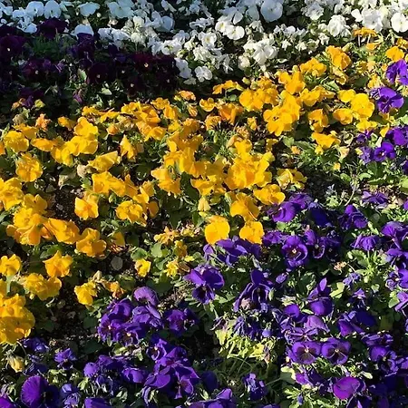 Appartamento Thermae