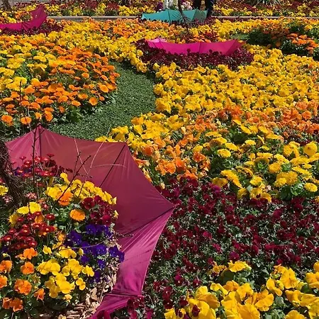 Thermae メラーノ