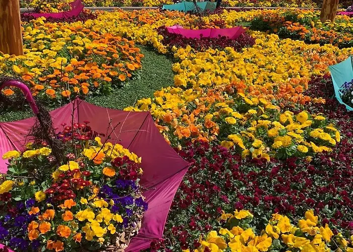 Thermae ميرانو